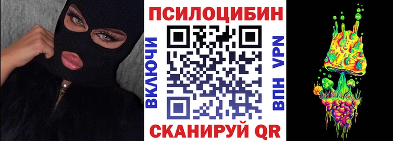 Галлюциногенные грибы Psilocybe  хочу   Далматово 