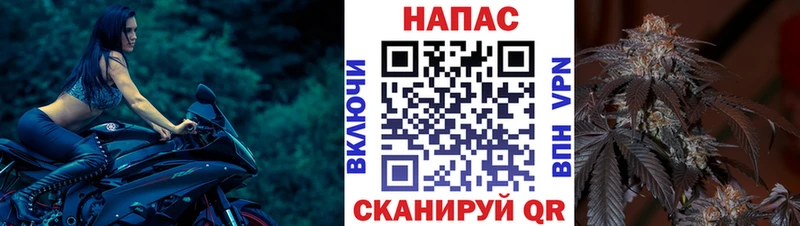 Бошки Шишки Ganja  Далматово 